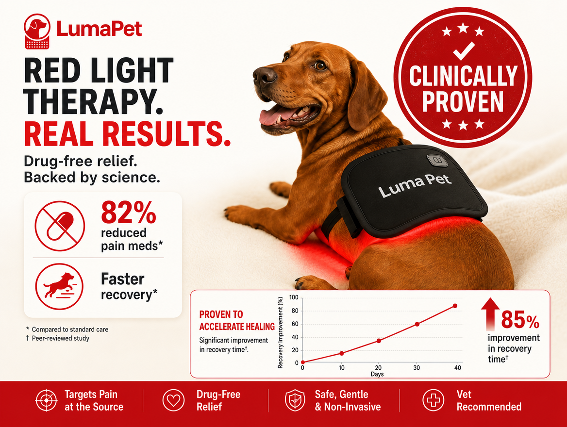 Luma Pet Red Light Pad